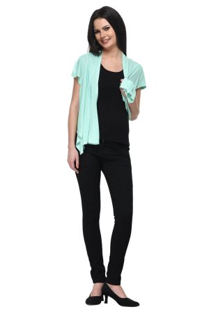 https://frenchtrendz.com/images/thumbs/0002779_frenchtrendz-viscose-crepe-mint-short-length-shrug_450.jpeg