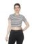 Picture of Frenchtrendz Women's Black Stripe Crop Top